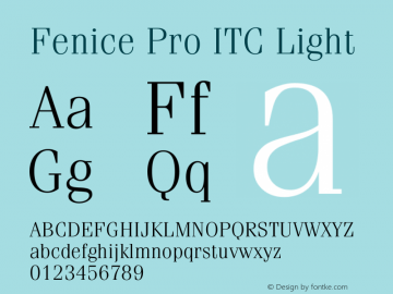 Fenice Pro ITC Light Version 3.00 Build 1000图片样张