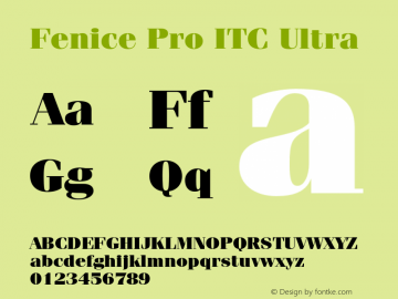 FeniceProITC-Ultra Version 3.000 Build 1000图片样张