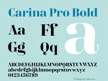 Carina Pro Bold Version 7.504; 2016; Build 1022图片样张