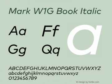 Mark W1G Book Italic Version 1.00, build 8, g2.6.4 b1272, s3图片样张