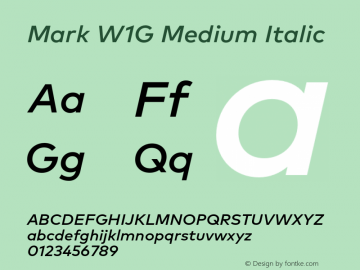 Mark W1G Medium Italic Version 1.00, build 8, g2.6.4 b1272, s3图片样张