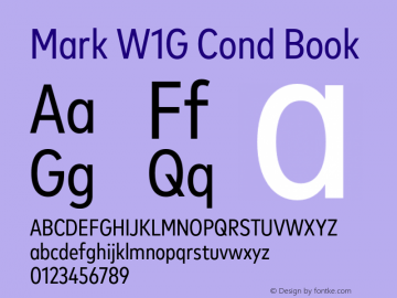 Mark W1G Cond Book Version 1.00, build 9, g2.6.4 b1272, s3图片样张