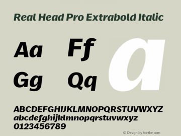 Real Head Pro Extrabold Italic Version 7.70图片样张