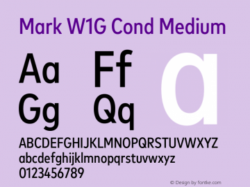 Mark W1G Cond Medium Version 1.00, build 9, g2.6.4 b1272, s3图片样张