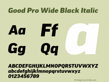 Good Pro Wide Black Italic Version 7.60图片样张