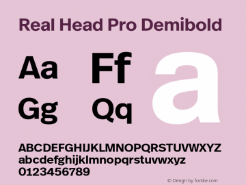 Real Head Pro Demibold Version 7.70图片样张