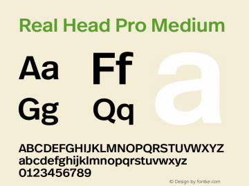 Real Head Pro Medium Version 7.70图片样张
