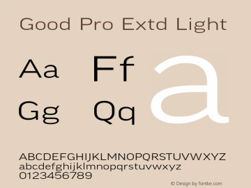 Good Pro Extd Light Version 7.60图片样张