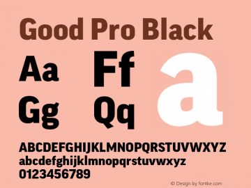 Good Pro Black Version 7.60图片样张