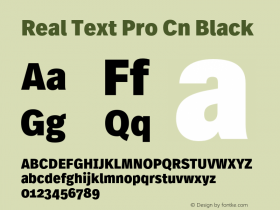 Real Text Pro Cn Black Version 1.00图片样张