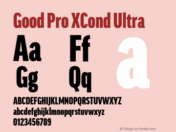 Good Pro XCond Ultra Version 7.60图片样张