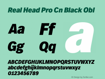 Real Head Pro Cn Black Obl Version 1.00图片样张