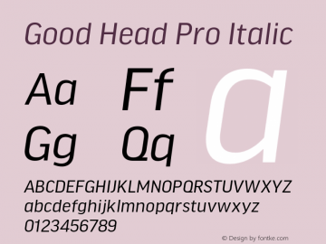 Good Head Pro Italic Version 7.60图片样张