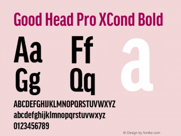 Good Head Pro XCond Bold Version 7.60图片样张