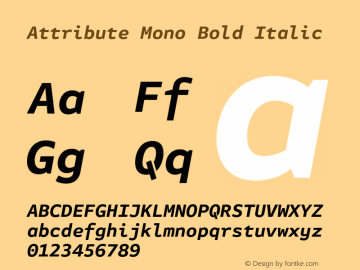 Attribute Mono Bold Italic Version 7.601, build 1028, FoPs, FL 5.04图片样张