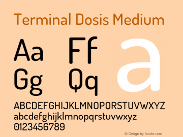 Terminal Dosis Medium Version 1.007 Font Sample