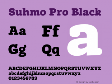 Suhmo Pro Black Version 7.60图片样张