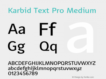 Karbid Text Pro Medium Version 7.60图片样张