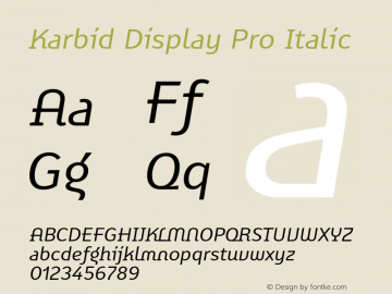 Karbid Display Pro Italic Version 7.60图片样张