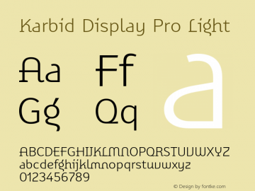 Karbid Display Pro Light Version 7.60图片样张