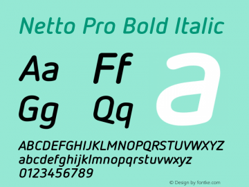 Netto Pro Bold Italic Version 7.600, build 1027, FoPs, FL 5.04图片样张