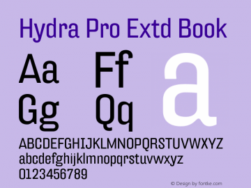 HydraPro-ExtdBook Version 7.504; 2012; Build 1021图片样张