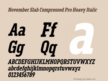 November Slab Comp Pro Hea Ita Version 1.0; 2018图片样张