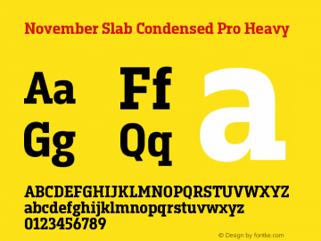 November Slab Cond Pro Hea Version 1.0; 2018图片样张