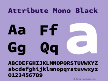 Attribute Mono Black Version 7.601, build 1028, FoPs, FL 5.04图片样张