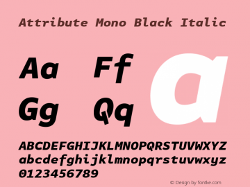 Attribute Mono Black Italic Version 7.601, build 1028, FoPs, FL 5.04图片样张