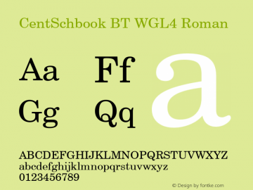 CentSchbook BT WGL4 Version 2.01 Bitstream WGL4 Set图片样张