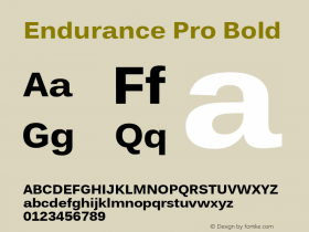 Endurance Pro Bold Version 1.2图片样张