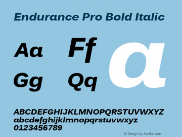 Endurance Pro Bold Italic Version 1.00图片样张