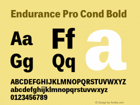 Endurance Pro Cond Bold Version 1.00图片样张