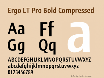 ErgoLTPro-BoldCompressed Version 1.000;PS 001.000;hotconv 1.0.38图片样张