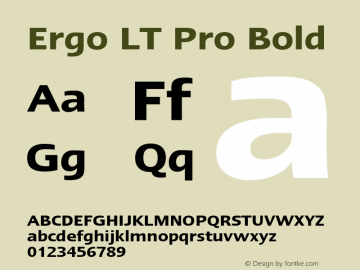 ErgoLTPro-Demi Version 1.000;PS 001.000;hotconv 1.0.38图片样张