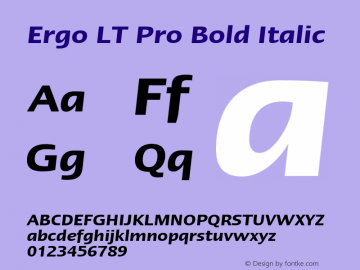 ErgoLTPro-DemiItalic Version 1.000;PS 001.000;hotconv 1.0.38图片样张