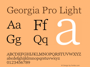 Georgia Pro Light Version 6.02图片样张