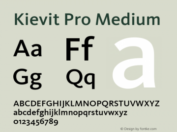 Kievit Pro Medium Version 7.600, build 1030, FoPs, FL 5.04图片样张