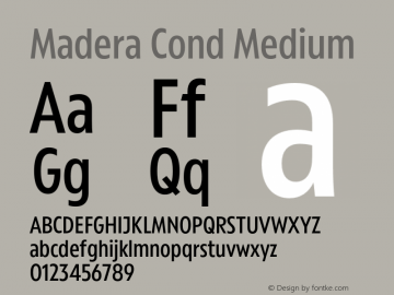 Madera Cond Medium Version 2.01图片样张