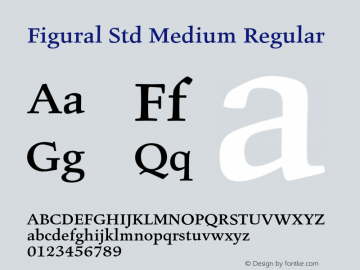 Figural Std Medium Regular Version 2.001;PS 002.000;hotconv 1.0.38 Font Sample