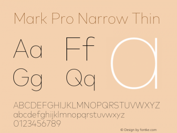 Mark Pro Narrow Thin Version 7.60图片样张