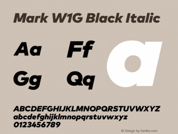Mark W1G Black Italic Version 1.00, build 8, g2.6.4 b1272, s3图片样张