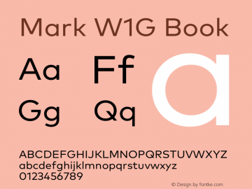 Mark W1G Book Version 1.00, build 8, g2.6.4 b1272, s3图片样张