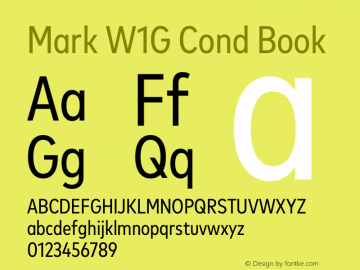 Mark W1G Cond Book Version 1.00, build 9, g2.6.4 b1272, s3图片样张