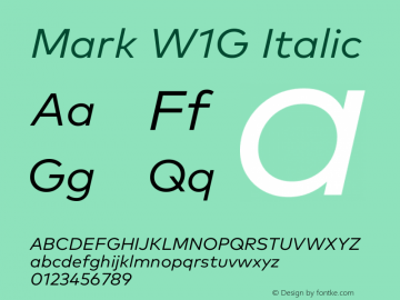 Mark W1G Italic Version 1.00, build 8, g2.6.4 b1272, s3图片样张