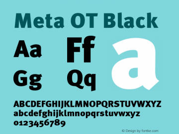 Meta OT Black Version 7.600, build 1027, FoPs, FL 5.04图片样张