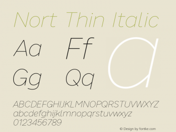 Nort Thin Italic Version 7.70图片样张