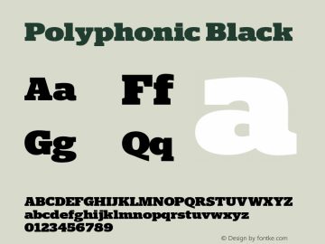 Polyphonic Black Version 1.000;PS 001.000;hotconv 1.0.88;makeotf.lib2.5.64775图片样张