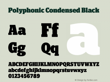 Polyphonic Condensed Black Version 1.000;PS 001.000;hotconv 1.0.88;makeotf.lib2.5.64775图片样张